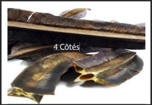 Vertus 4 Côtés Afrique Bio