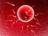 L'infertilité Masculine Cause Symptômes et Traitement Naturel. Comment soigner l'infertilité chez l'homme remède bio