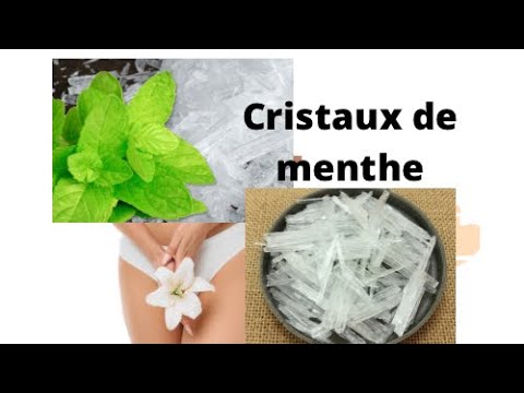 Lire la suite à propos de l’article Cristaux de Menthe Caractéristiques et ces mille vertus 100 % naturel