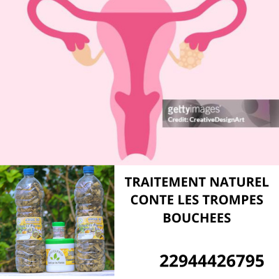 Lire la suite à propos de l’article Trompes bouchées: Traitement naturel contre les trompes bouchées