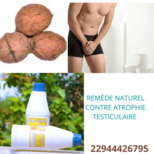 Lire la suite à propos de l’article Atrophie testiculaire : Remède naturel contre Atrophie testiculaire