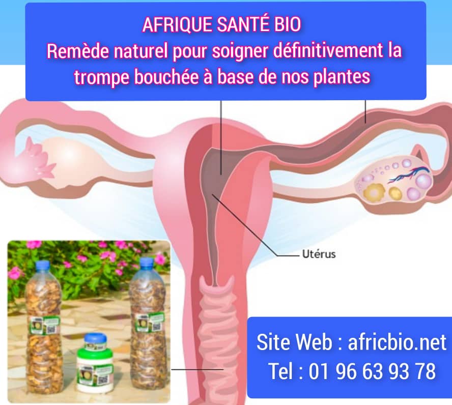 Lire la suite à propos de l’article Salpingite Causes Symptômes et Traitement Naturel à Base de Plantes Naturelles